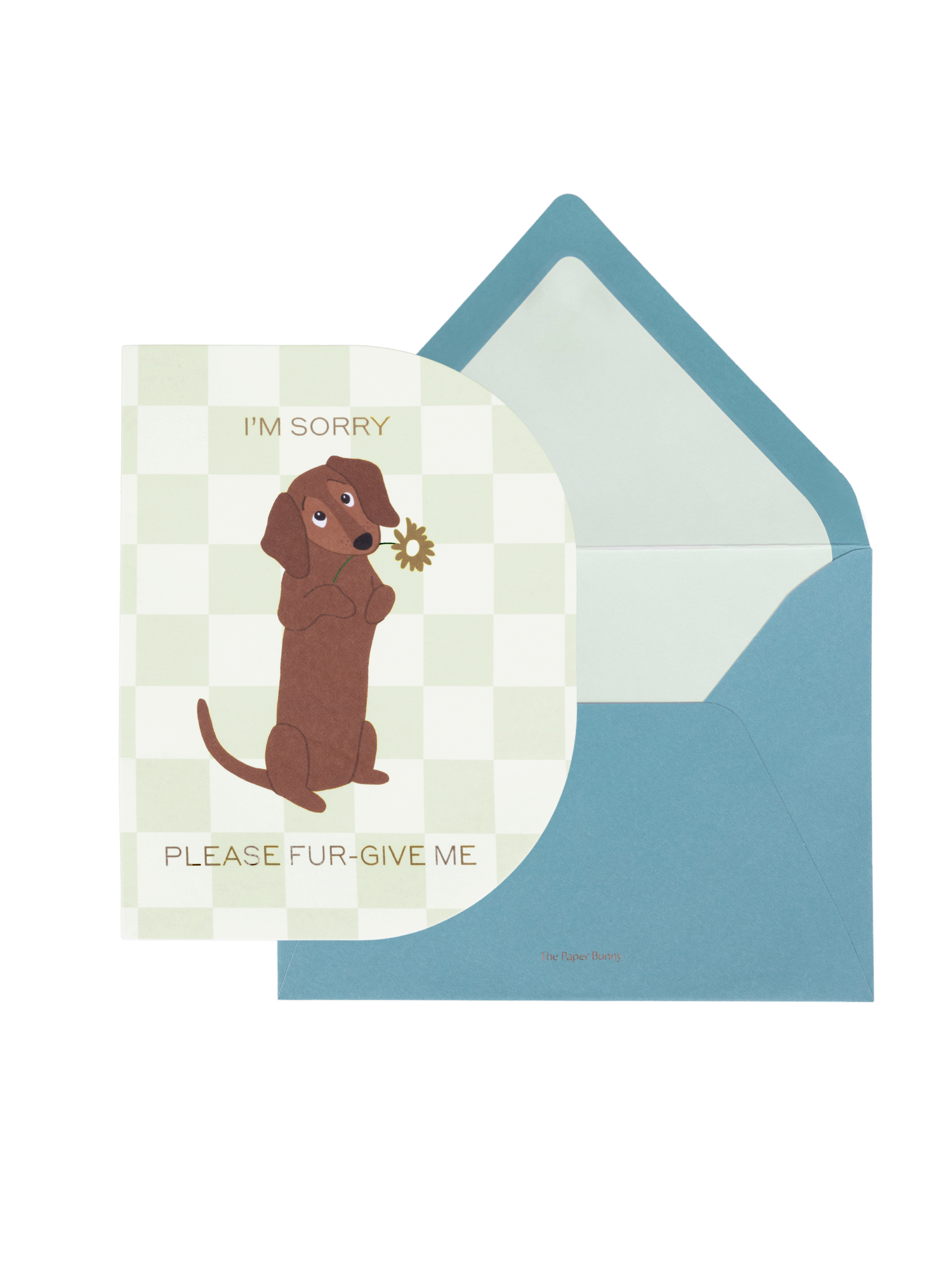 Please Furgive Me Greeting Card